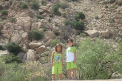 2010-06-2010-07-030