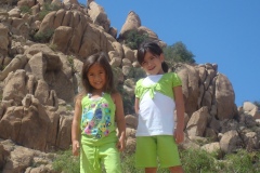 2010-06-2010-07-033