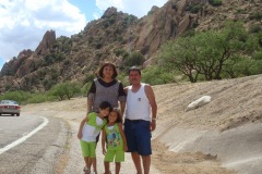 2010-06-2010-07-036