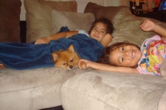 2010-06-2010-07-053
