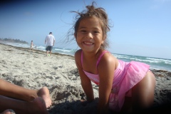 2010-06-2010-07-065
