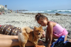 2010-06-2010-07-074