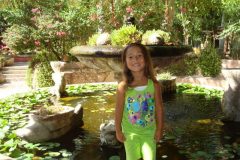 2010-06-2010-07-166