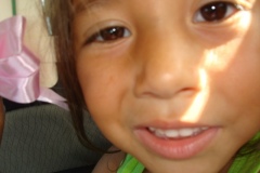 2010-06-2010-07-333