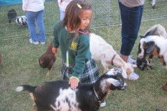 2010-Fall-Christmast-21