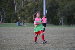 IMG_1254
