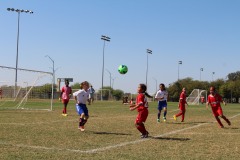 IMG_1926